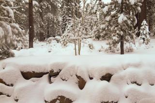 Walk-Friendly Truckee House - Truckee - 9