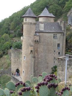 Les dessous de la grange - Larroque-Toirac - 1