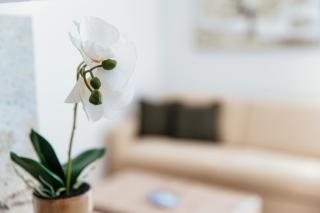 Palace Apartment by Quokka 360 - 2 minutes from Lugano Lido - 2