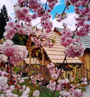 Ribno Luxury Glamping - Bled - 2