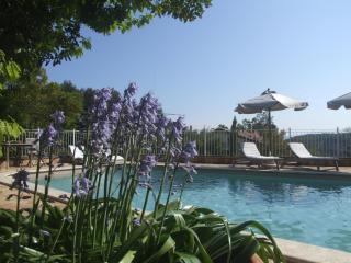 Vacanze Toscane In The Country - Sassetta - 7