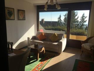 Exklusives Apartment in Bad Säckingen für 2 Person - Bad Säckingen - 3