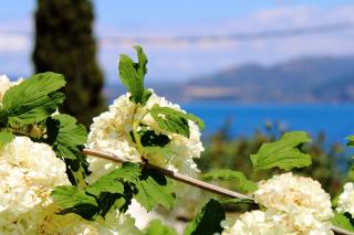 Vergina Star Hotel - 2