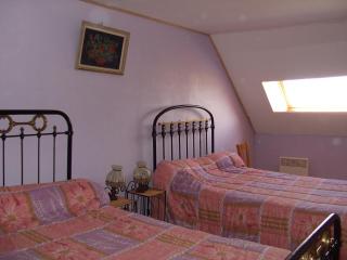 gîte les bois georges - Bossus-lès-Rumigny - 1