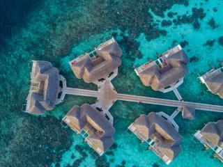 The Centara Collection, Machchafushi Island Resort & Spa Maldives - Stay 5 nights or more and enjoy 30 percent off Seaplane transfers, valid for stays from 10 Apr to Sep 2026 - 3