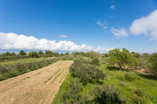 MG Holiday Home - Dubravice - 3