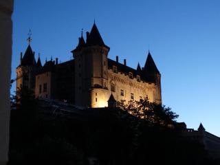 Studio Séquoia au pied du Château - Saumur - 2