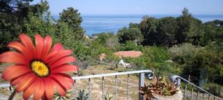 casa panoramica bouganville - Sant'Andrea - 4