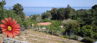 casa panoramica bouganville - Sant'Andrea - 2