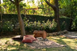 Tree of Life Junoon in the Hills Kumaon - 3