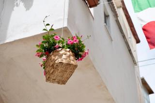 Il Riccio Apartment 28 - Procida - 4