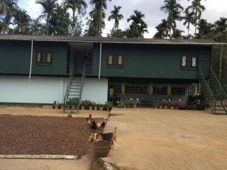 Whispering Willows - 7