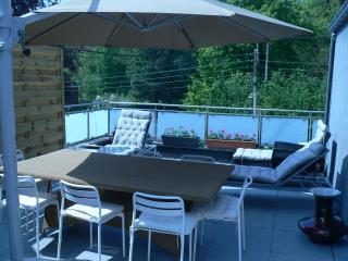 liège 4420 rue jean Jaurès 45 grande maison joyeuse avec terrasse 30m2 pour 8 personnes maximum - Saint-Nicolas - 9