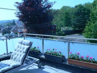 liège 4420 rue jean Jaurès 45 grande maison joyeuse avec terrasse 30m2 pour 8 personnes maximum - Saint-Nicolas - 1