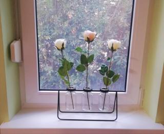 Guest house Gloria - 1