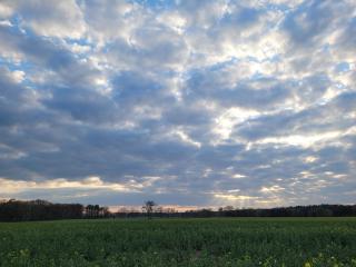 Märchenhaft urlauben auf dem Alpakahof - 1