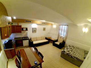 Carla Studio Apartment - Zagabria - 6