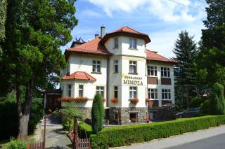 Pensjonat Mimoza - Świeradów-Zdrój - 9