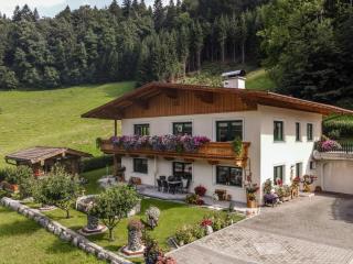 Haus am Waldrand - Hopfgarten im Brixental - 0