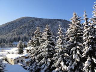 Studio Riedwiese - Davos - 1