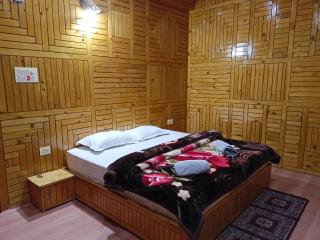 Cedar stream house - Jibhi - 2