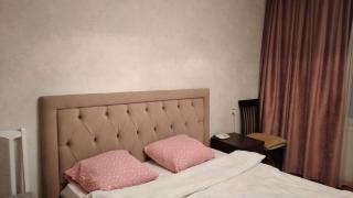 Apartment on Dacia - 2