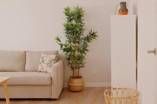 Apartamento Centro-El Carmen - Gijón - 1