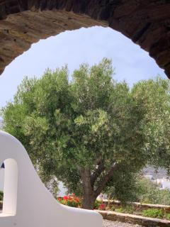 MARIAS PLACE IOS - 4