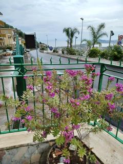 Villa Maria - Family House - Monte di Procida - 7