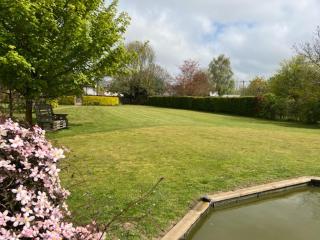 Little Owl Cottage - Faversham - 9