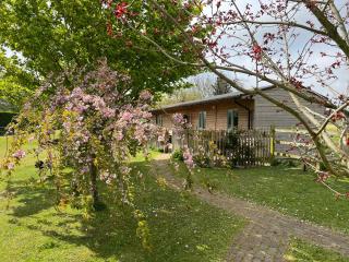 Little Owl Cottage - Faversham - 0