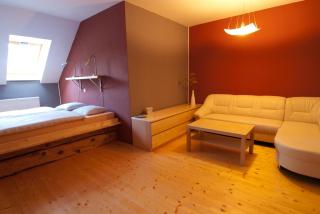 Penzion Dvůr - Obora - 4