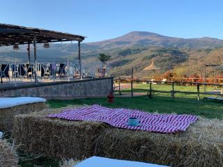 Terre di GIORGIO Agriturismo Villa la Palazzetta - Castiglione dʼOrcia - 6