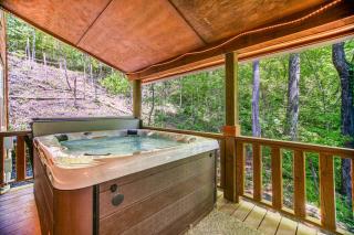 Red Fox Den - Sylva - 8