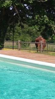 Longère du sud Touraine au Coeur du Val de Loire - 2