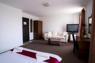 Pensiunea Dacia Deva - 1