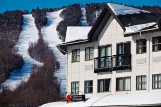 Hotel Stoneham - Stoneham - 9