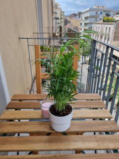 Etna Ocean Rooms - Catania - 6
