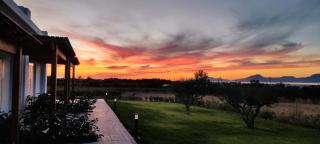 Olive Tree Garden - 5