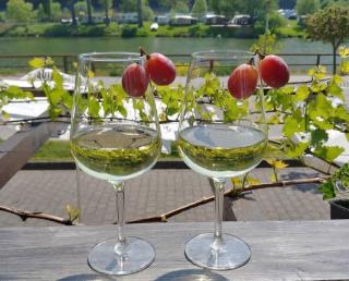 Hatzenporter Paradies - Hatzenport - 2