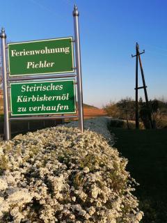 Ferienwohnung Pichler - Leibnitz - 8