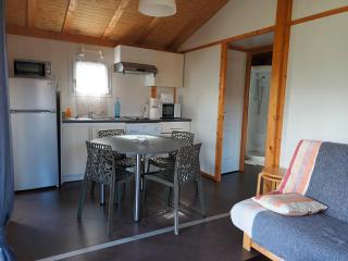 Chalet 1 au coeur des volcans - Bromont-Lamothe - 9
