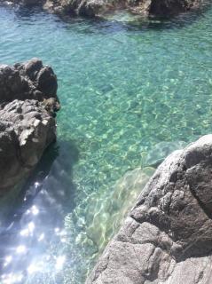 Casa Cobalto - Lascio tutto vivo a Copanello - Copanello - 0