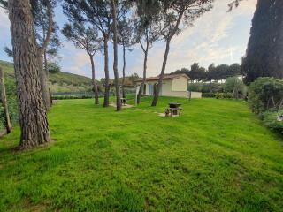 I Grilli - Baratti - 9