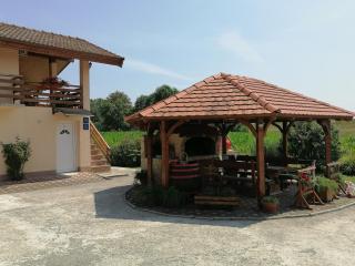Apartments Kozjan - 7