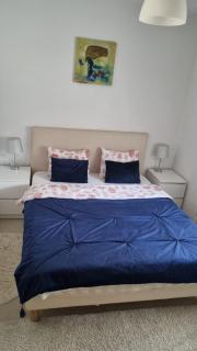 Charm 2 Palas Apartment - Iaşi - 3
