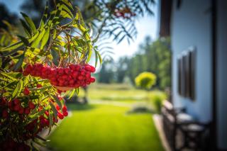 Rezydencja Wrony27A - 4