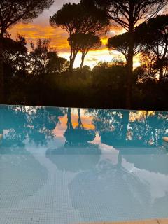 La Villa D’Aimée - Vidauban - 4