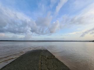 Shikoa Sobole - Le Morpho et l'Ara - 8