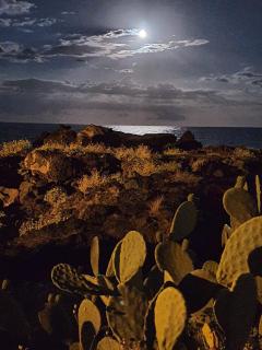 La casa dei Capperi - The house of capers 1 - 3